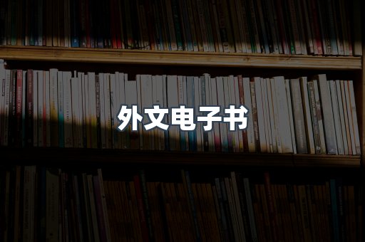 外文电子书